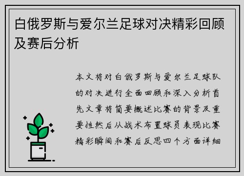 白俄罗斯与爱尔兰足球对决精彩回顾及赛后分析